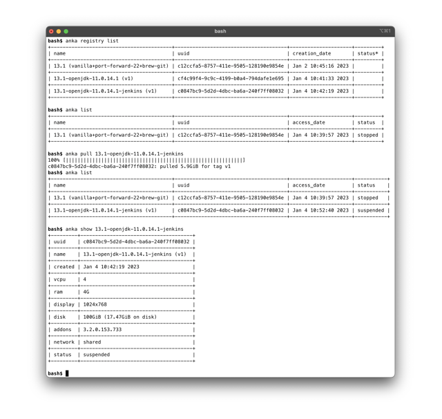 通过 CLI 列出和拉取 Anka Registry 虚拟机（官方文档历史终端示例）