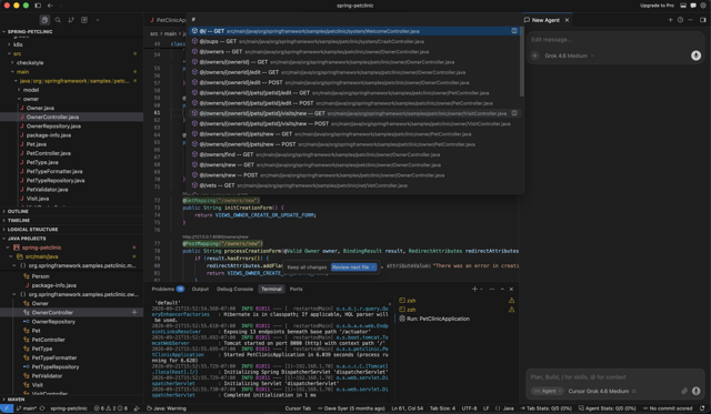 Official application interface