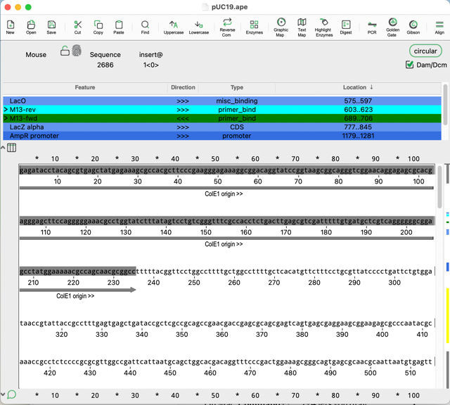 Mac sequence editor with pUC19 features, extracted from the official manual.