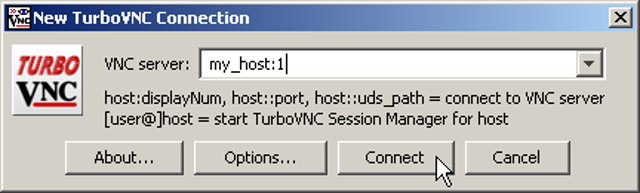Historical official Windows connection dialog with an example server address.