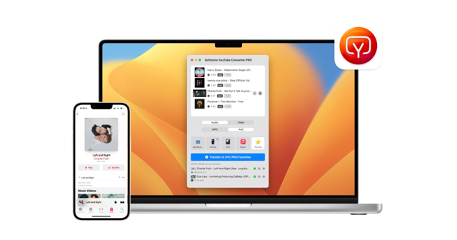 Official application interface