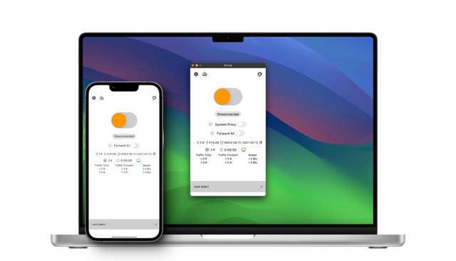Official application interface
