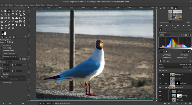 Official GIMP 3.0 photo-editing example. Platform unconfirmed; historical, not current macOS 3.2.6.