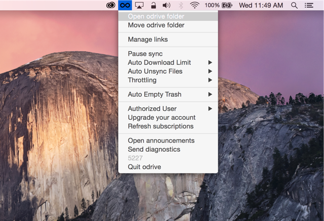 odrive Mac menu — historical interface example from the official usage guide