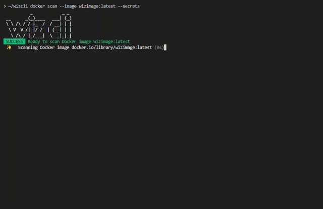 Container image scan command — frame from an official website terminal demo