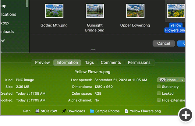 Official application interface