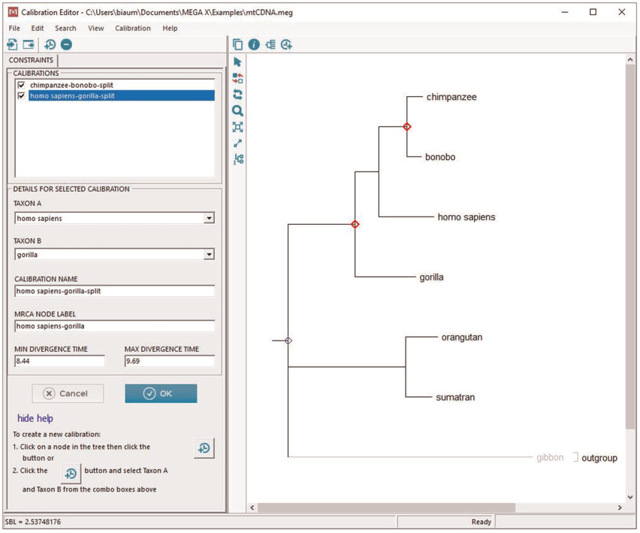 Historical Windows MEGA X calibration editor from a paper hosted on its website.