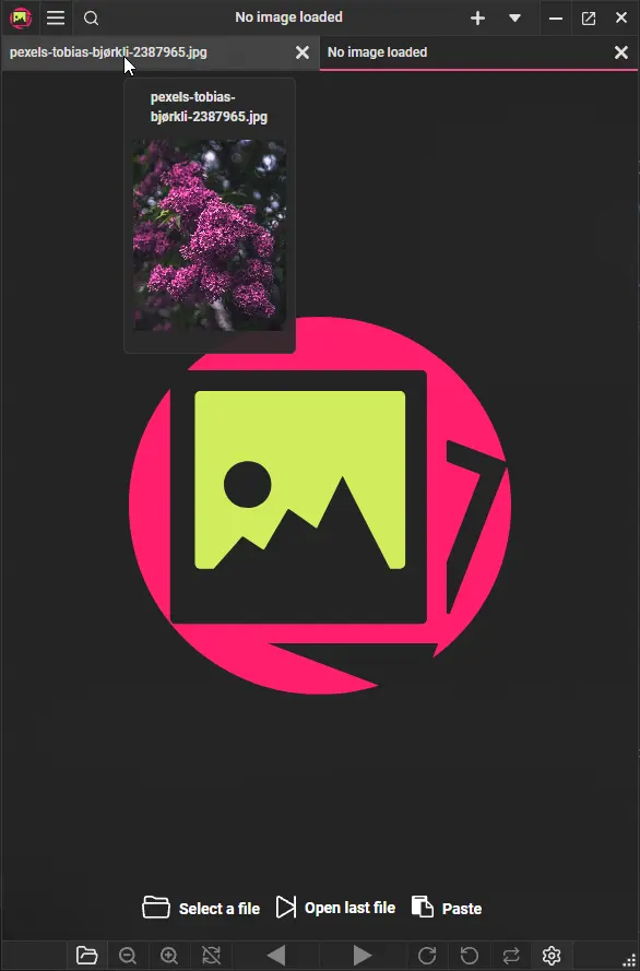 Official PicView interface on Windows.