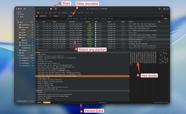Official application interface