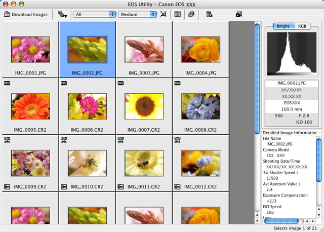 Finestra storica di download dal manuale ufficiale Mac di EOS Utility 1.1, non della versione attuale.