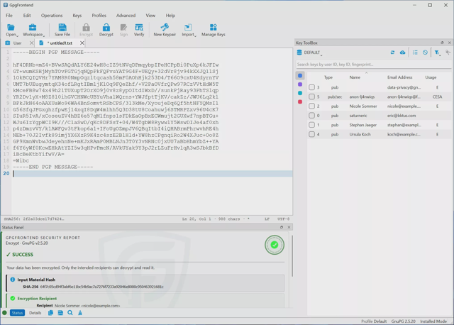 Official application interface