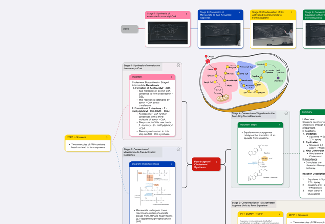 Official application interface