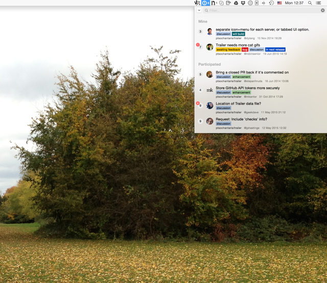 Official application interface