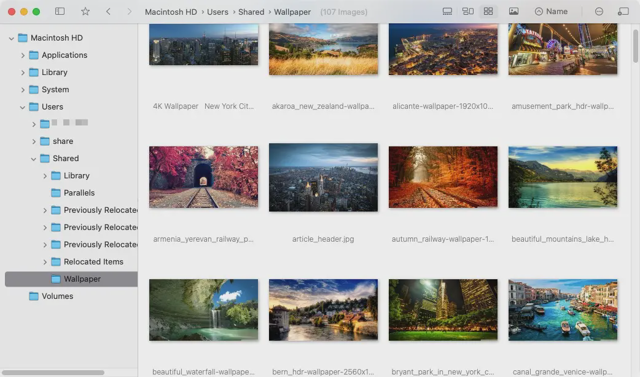 FlowVision file browser with image thumbnails