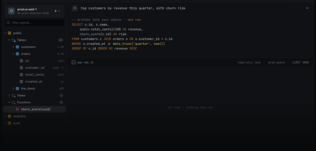 Schema explorer and AI-assisted SQL — official website interface demo screenshot