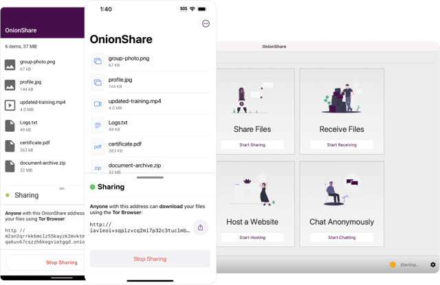 Official application interface
