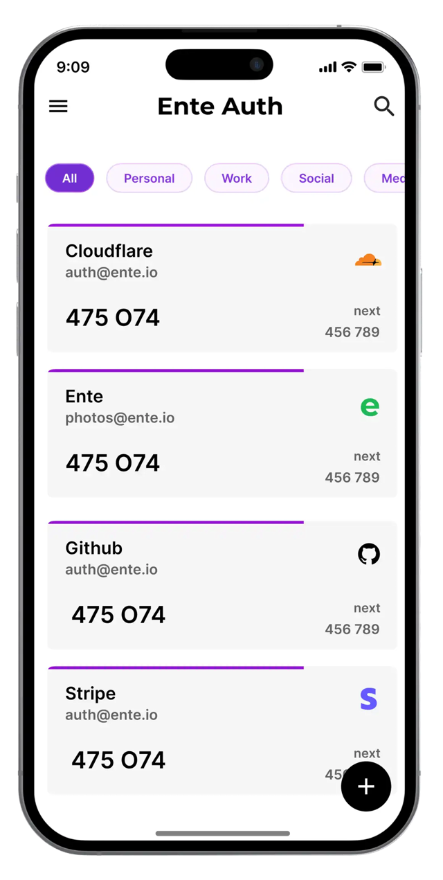 Official application interface