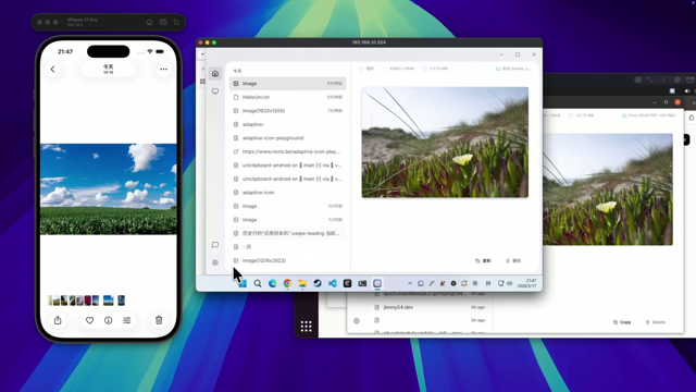 Official application interface
