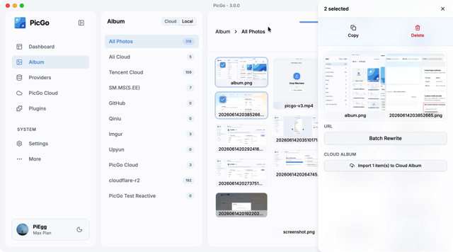 Official application interface