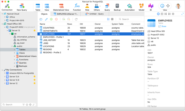 Navicat for PostgreSQL para Mac — ejemplo oficial de la interfaz principal