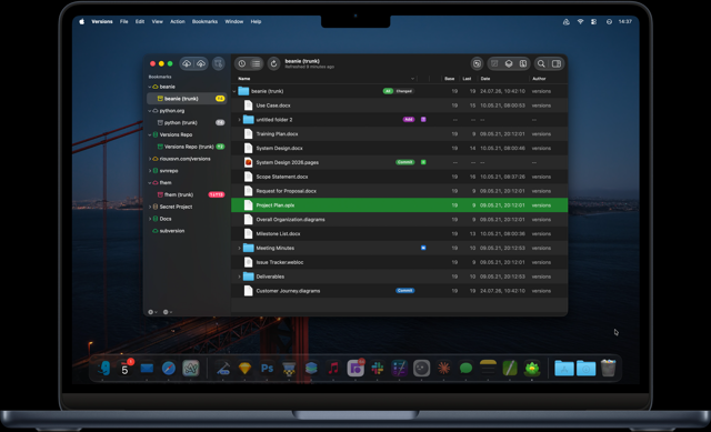 Official application interface