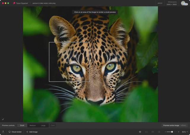 Topaz Gigapixel 预览工作区（官网示例，图中标注 v8.0.0）