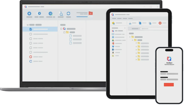 Official application interface