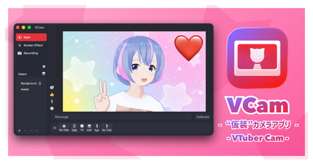 Official application interface
