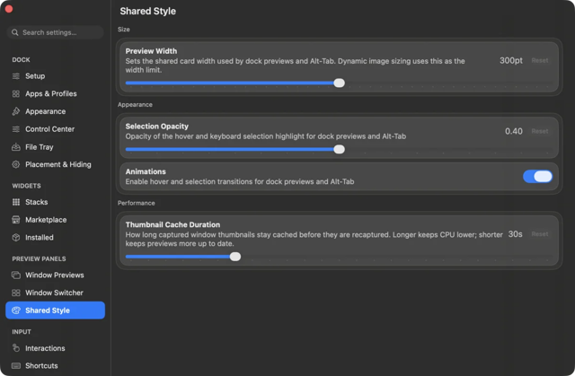 DockDoor Pro Shared Style settings.