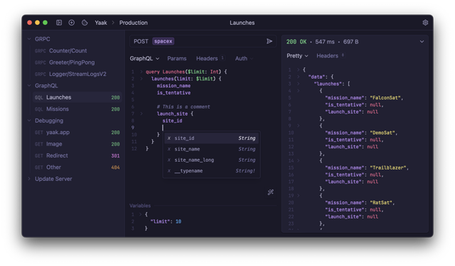 Official Yaak desktop API client screenshot from the project README.