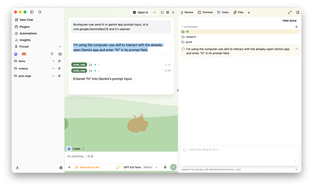 Official application interface